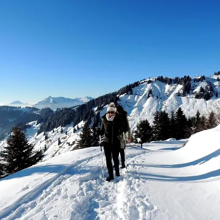 Le Cosy 3 Etoiles En Centre